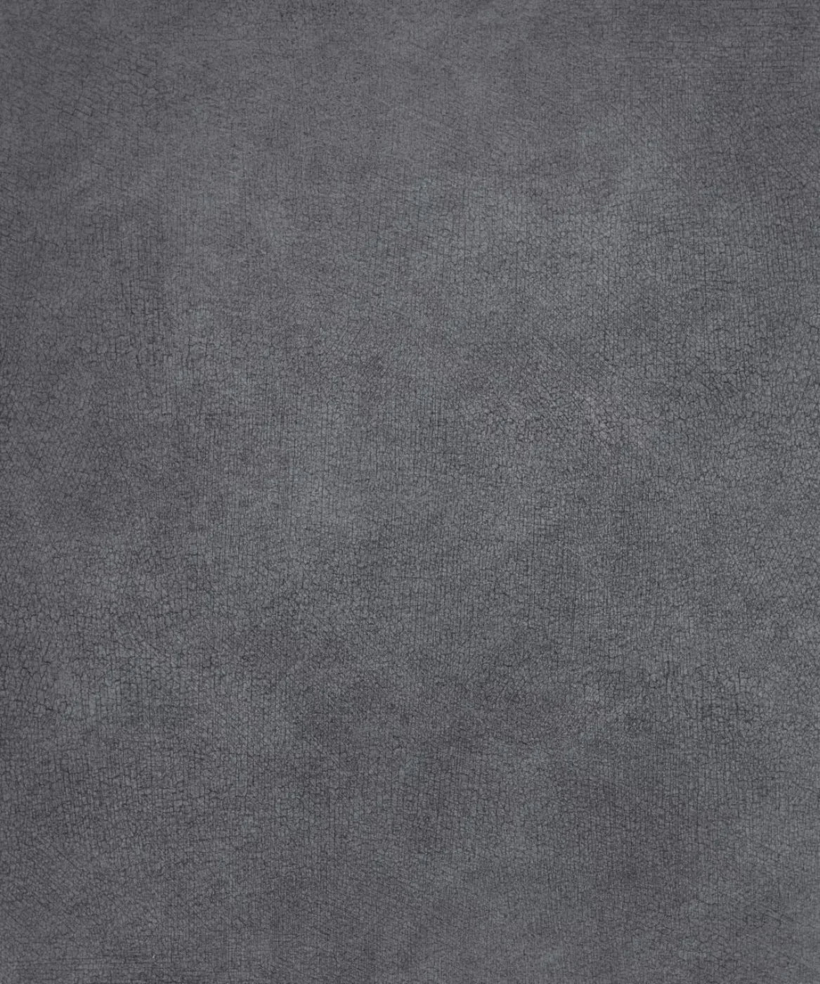 Gray Classic and Masters Backdrop for Photography