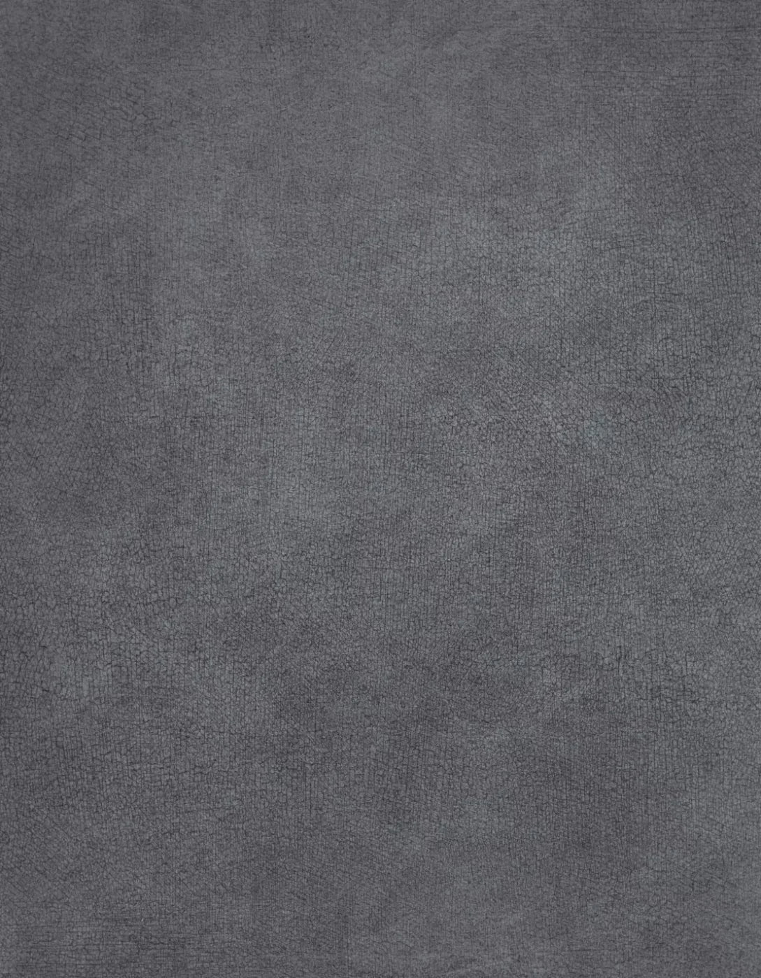 Neutral Cool 6X8 Fleece ( 72 X 96 Inch ) Backdrop