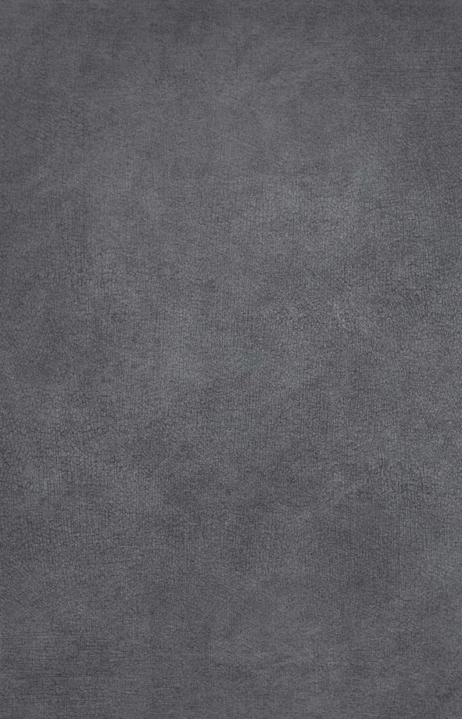 Neutral Cool 8X12 Ultracloth ( 96 X 144 Inch ) Backdrop