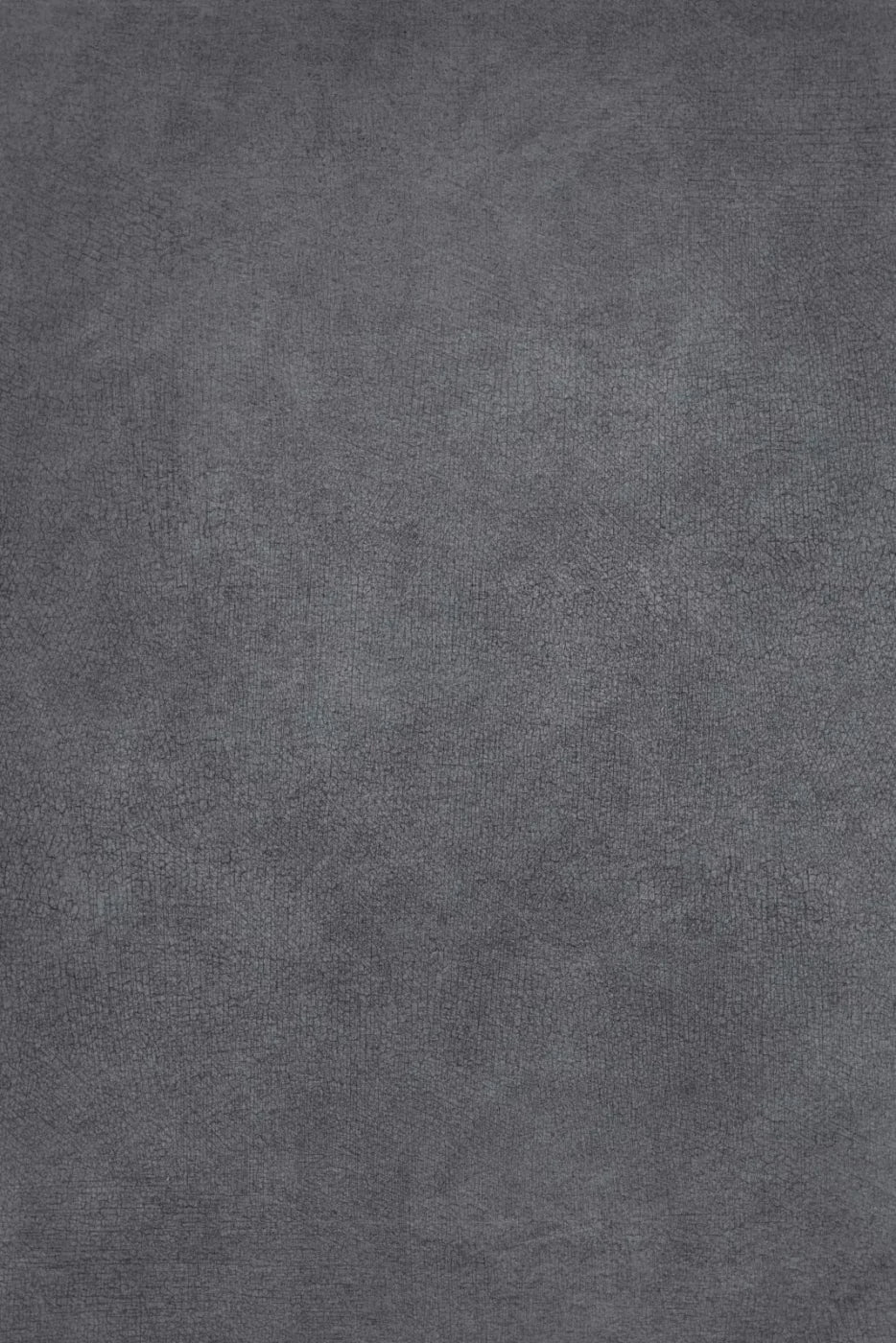 Neutral Cool Backdrop