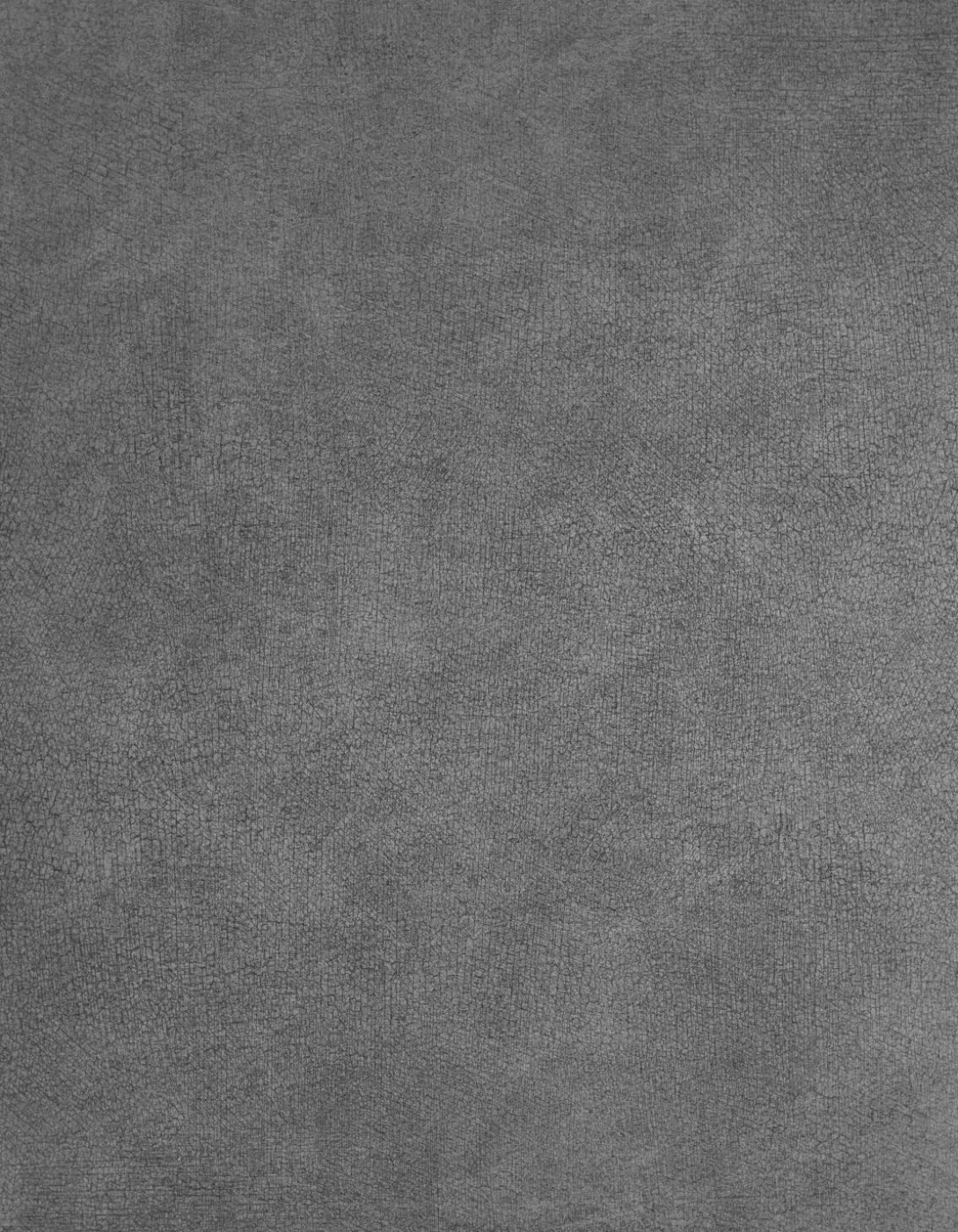 Neutral Gray 6X8 Fleece ( 72 X 96 Inch ) Backdrop
