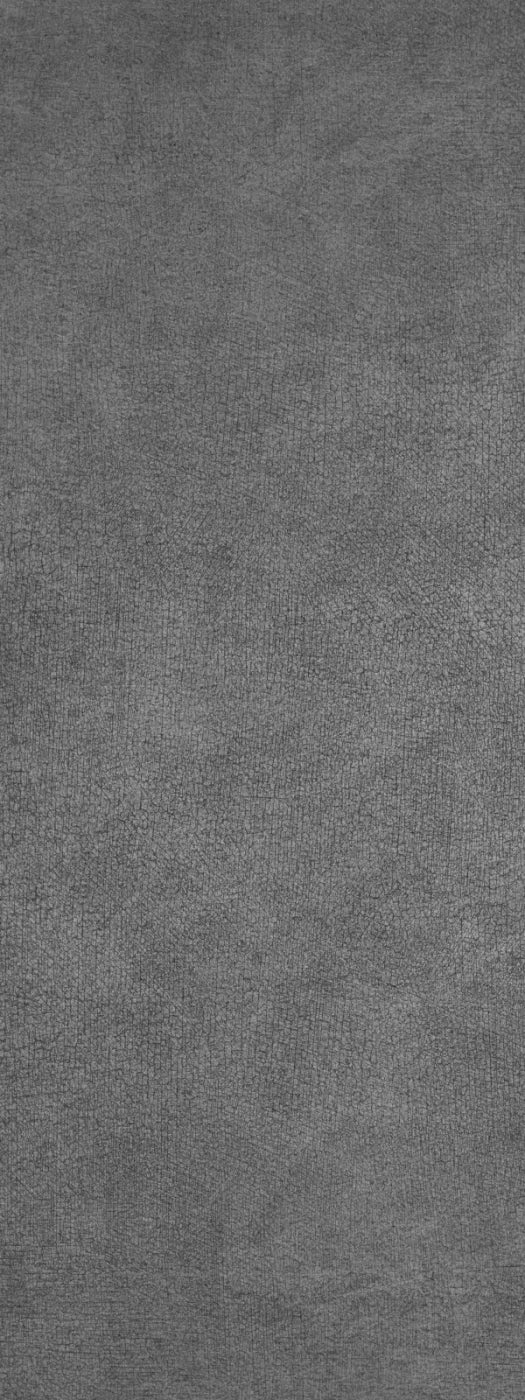 Neutral Gray 8X20 Ultracloth ( 96 X 240 Inch ) Backdrop