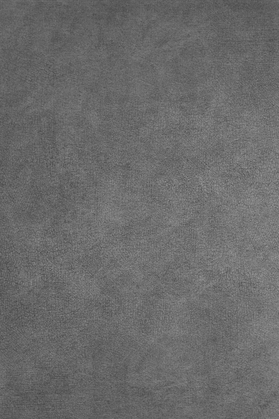 Neutral Gray Backdrop