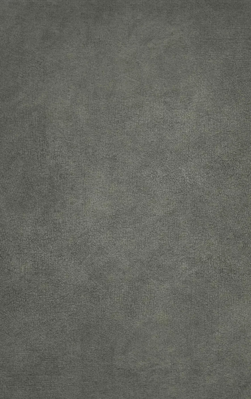 Neutral Mossy 10X16 Ultracloth ( 120 X 192 Inch ) Backdrop