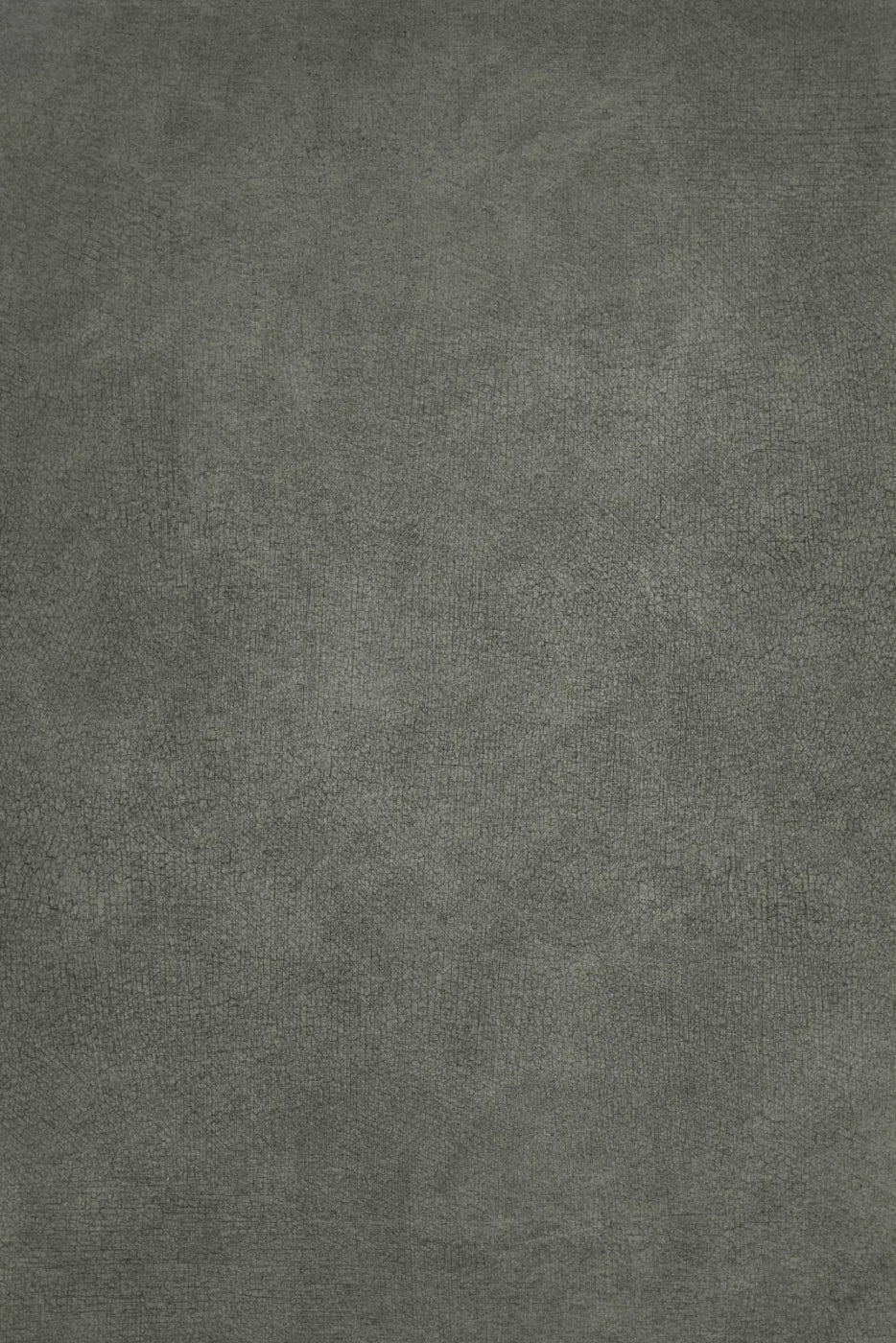 Neutral Mossy Backdrop