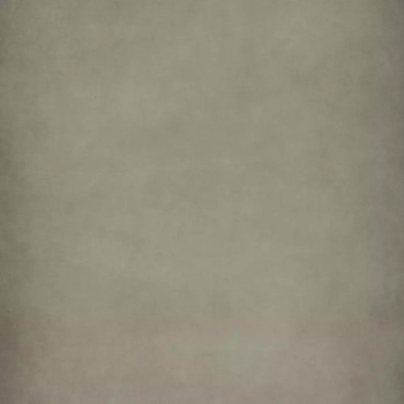 Neutral Zone 8X8 Fleece ( 96 X Inch ) Backdrop