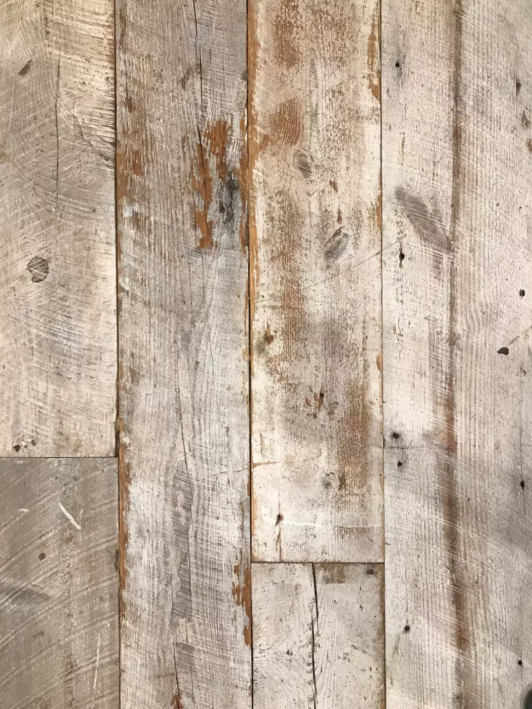Newport 5’x7’ UltraCloth (60 x 84 inch) Backdrop