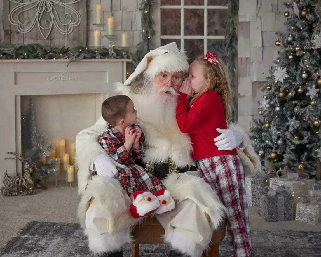 White Christmas Backdrop for Photography