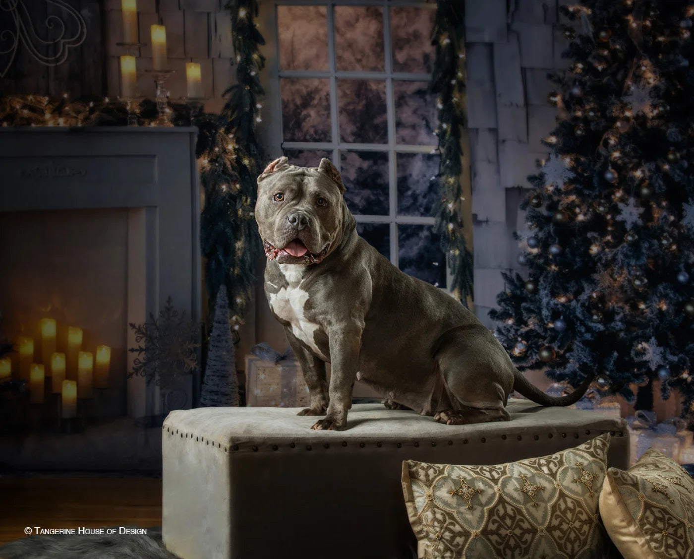 Night Before Christmas Backdrop