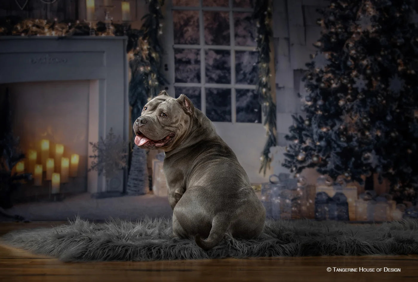 Night Before Christmas Backdrop