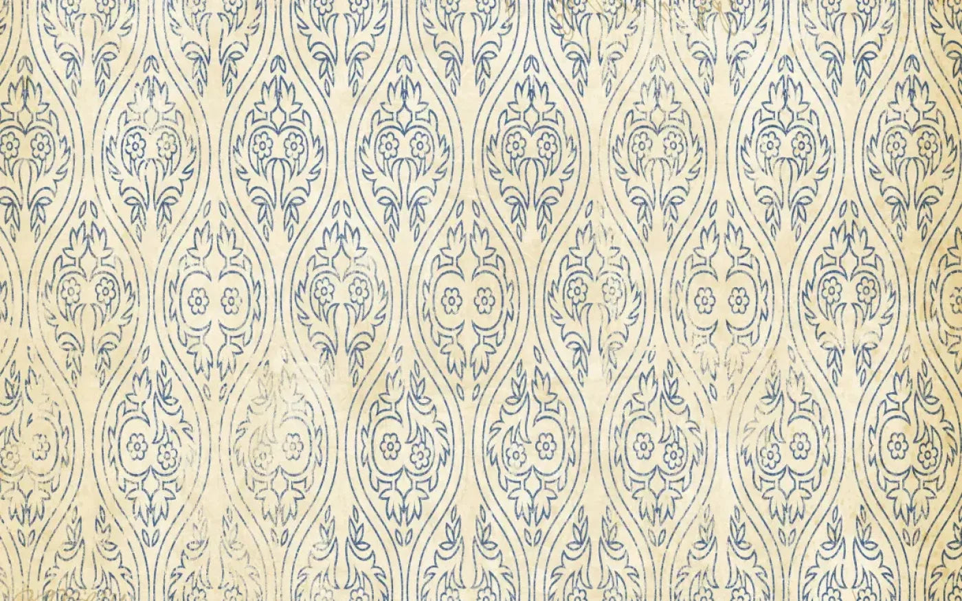 Noah 14X9 Ultracloth ( 168 X 108 Inch ) Backdrop