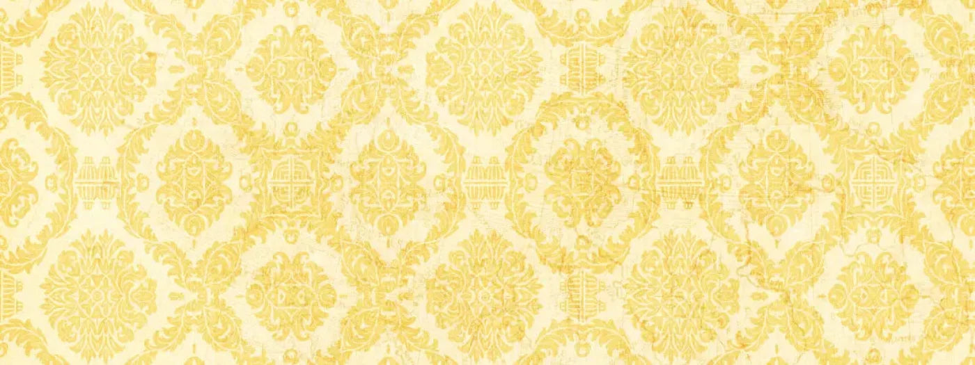 Noemi 20X8 Ultracloth ( 240 X 96 Inch ) Backdrop