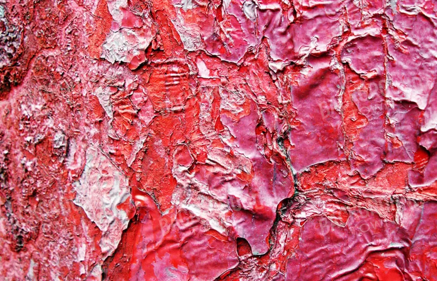 Nook 12X8 Ultracloth ( 144 X 96 Inch ) Backdrop