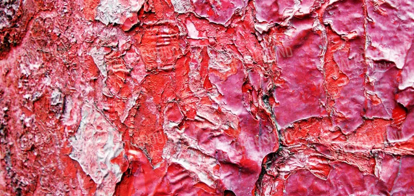 Nook 16X8 Ultracloth ( 192 X 96 Inch ) Backdrop