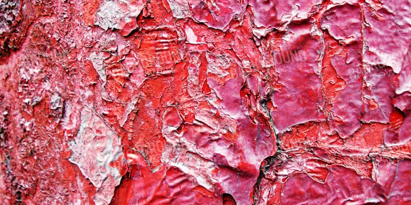 Nook 20X10 Ultracloth ( 240 X 120 Inch ) Backdrop