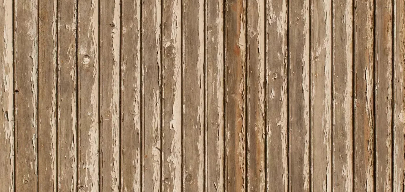 Norbert 16X8 Ultracloth ( 192 X 96 Inch ) Backdrop