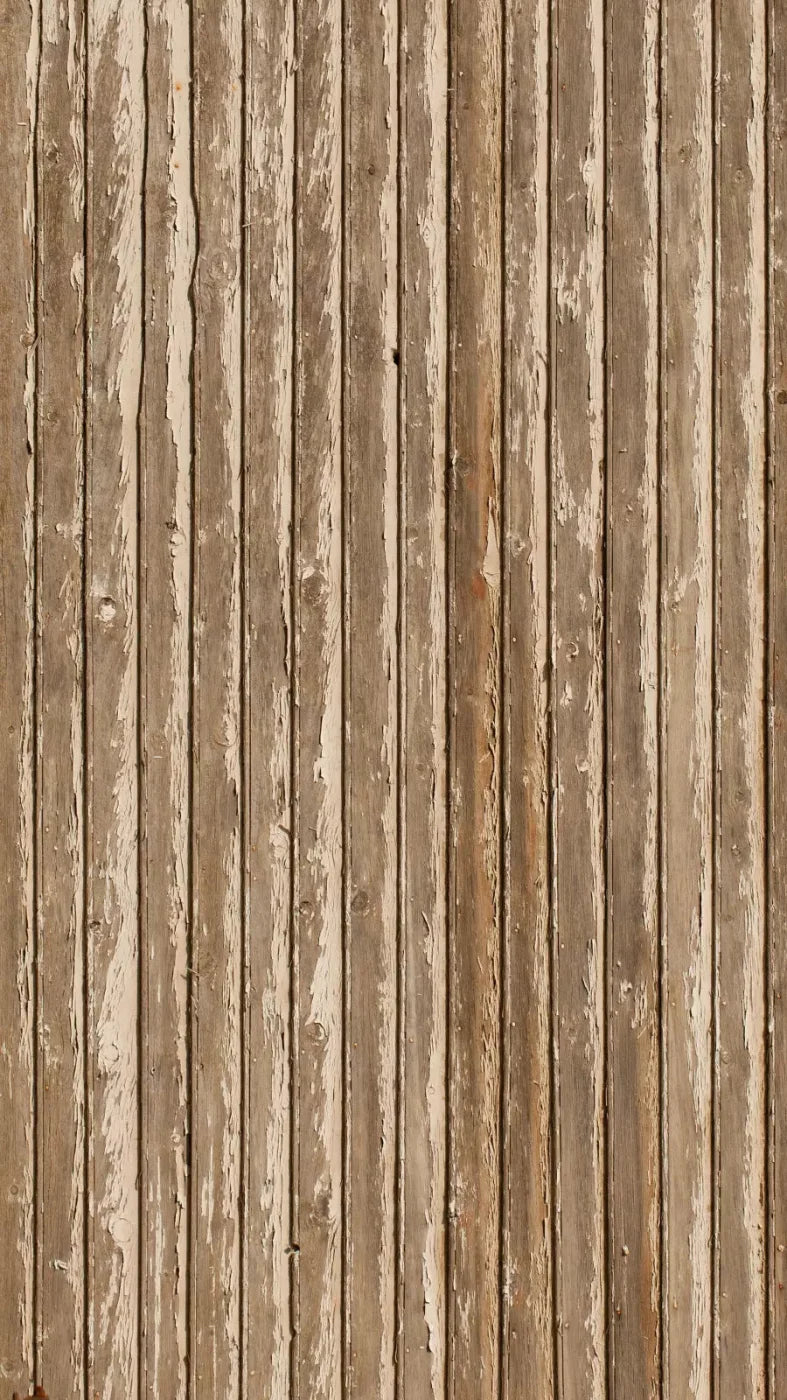 Norbert 8X14 Ultracloth ( 96 X 168 Inch ) Backdrop