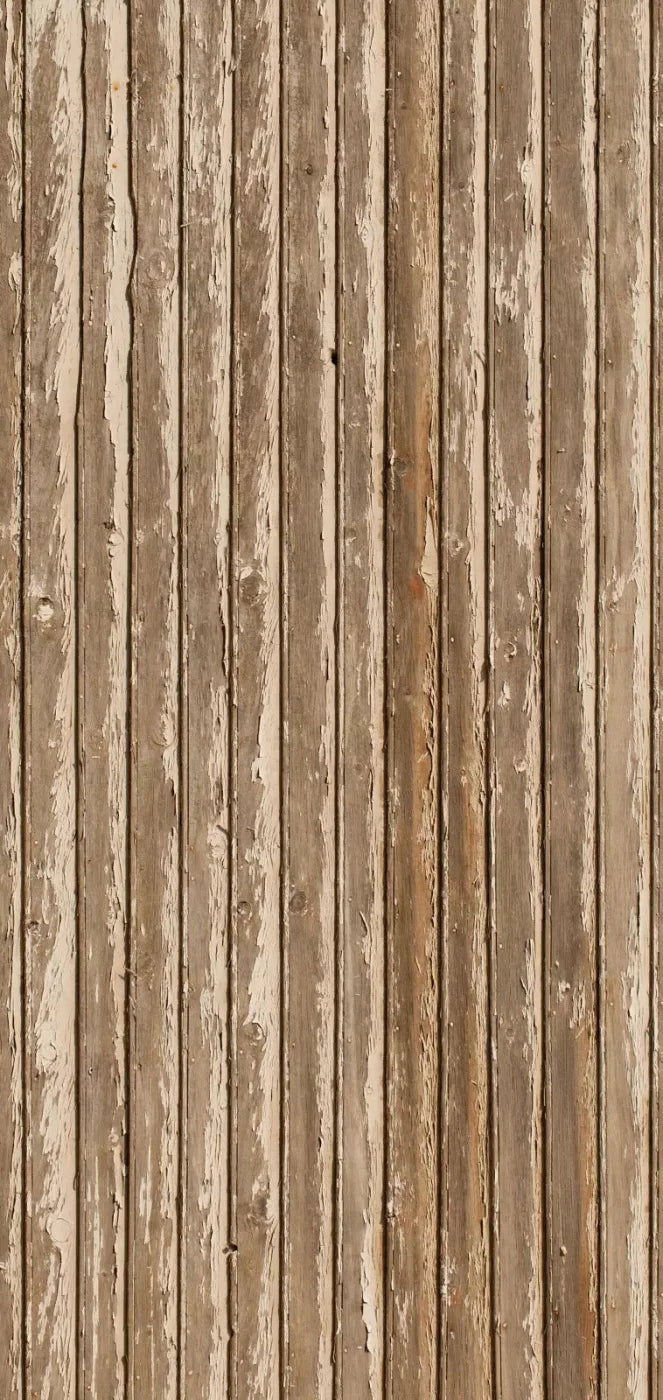 Norbert 8X16 Ultracloth ( 96 X 192 Inch ) Backdrop