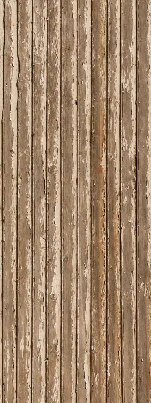 Norbert 8X20 Ultracloth ( 96 X 240 Inch ) Backdrop