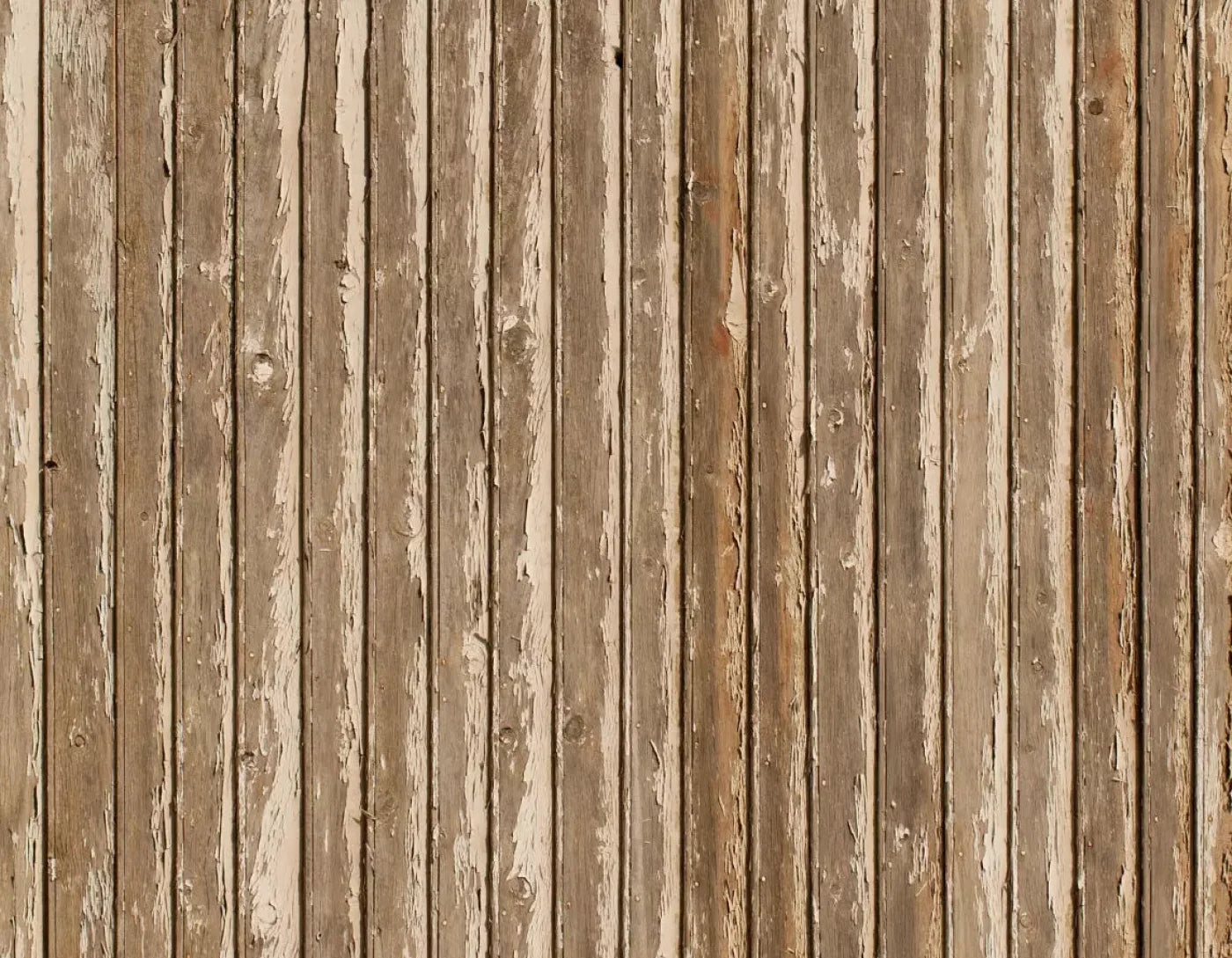 Norbert 8X6 Fleece ( 96 X 72 Inch ) Backdrop