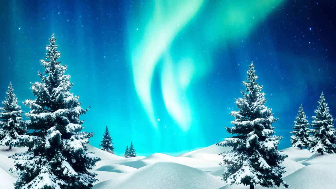 North Pole 14X8 Ultracloth ( 168 X 96 Inch ) Backdrop