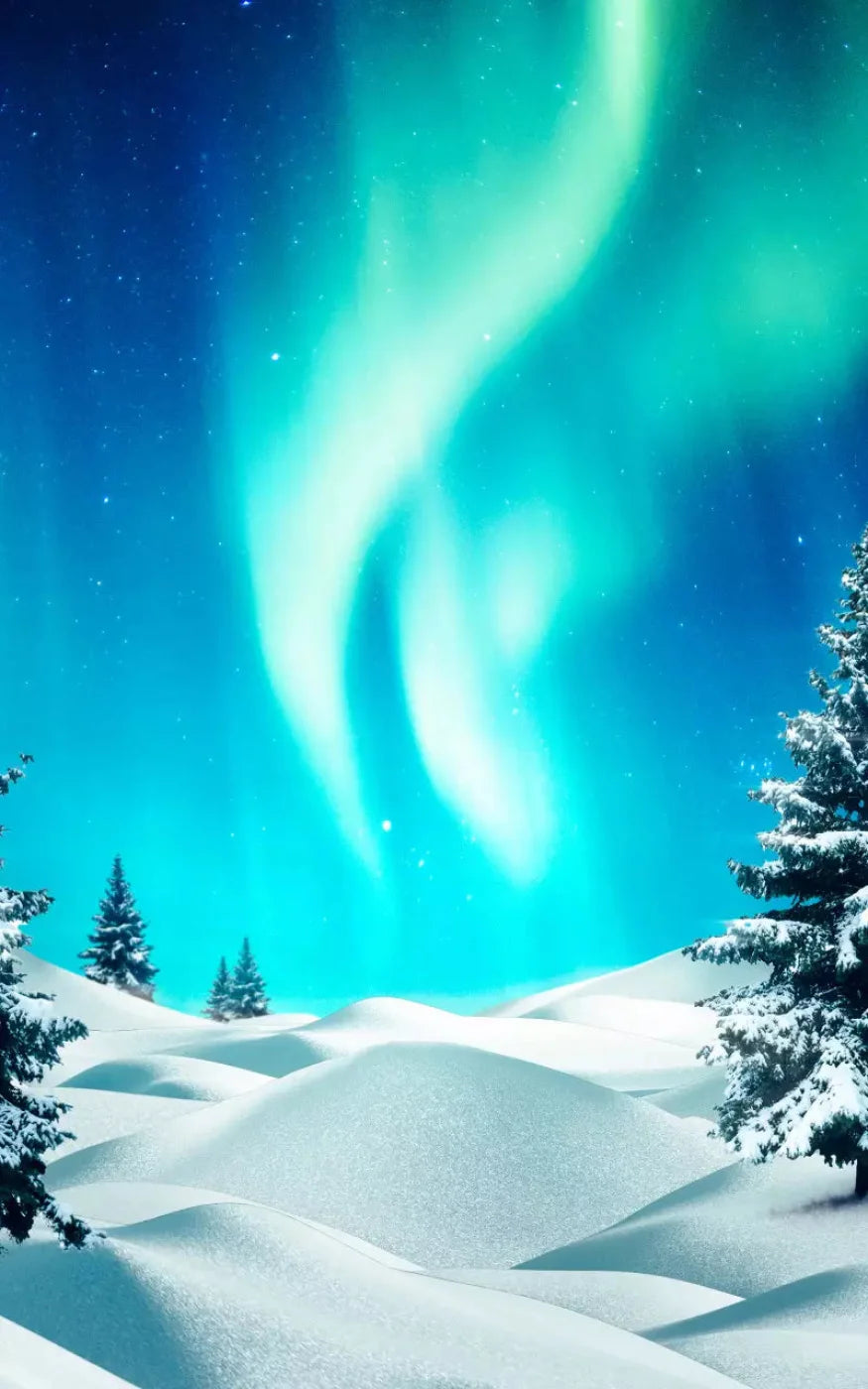 North Pole 9X14 Ultracloth ( 108 X 168 Inch ) Backdrop