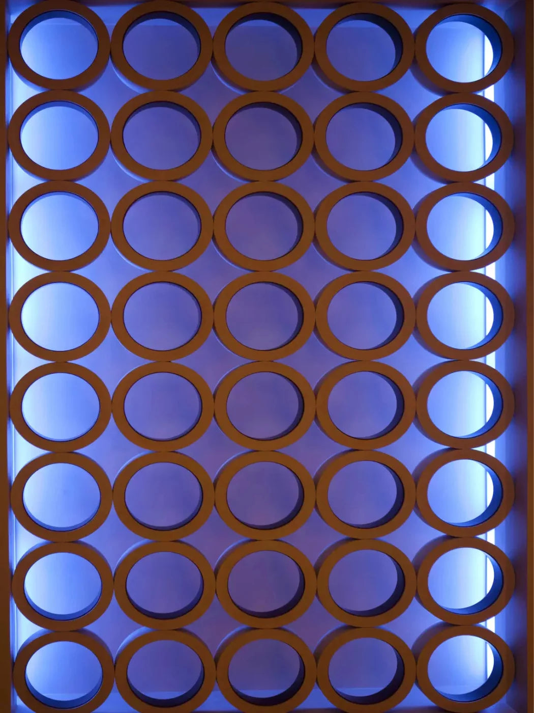 O 8X10 Fleece ( 96 X 120 Inch ) Backdrop