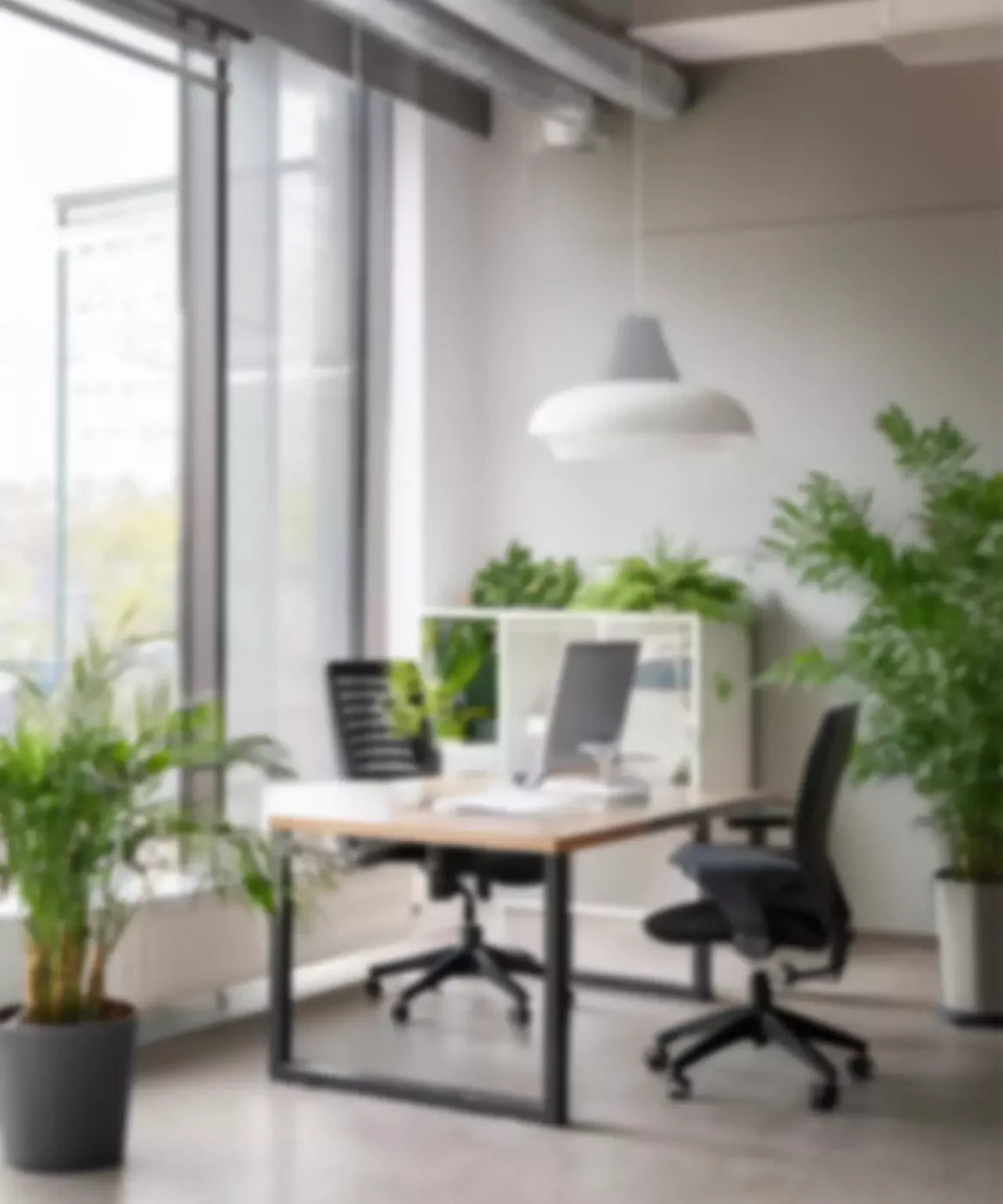 Office 10’X12’ Ultracloth (120 X 144 Inch) Backdrop