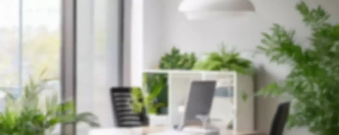 Office 20’X8’ Ultracloth (240 X 96 Inch) Backdrop