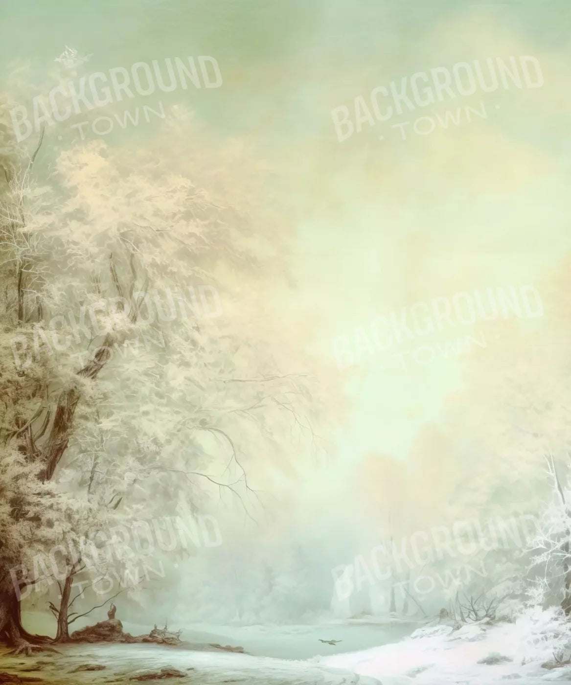 White Backdrop for Photography