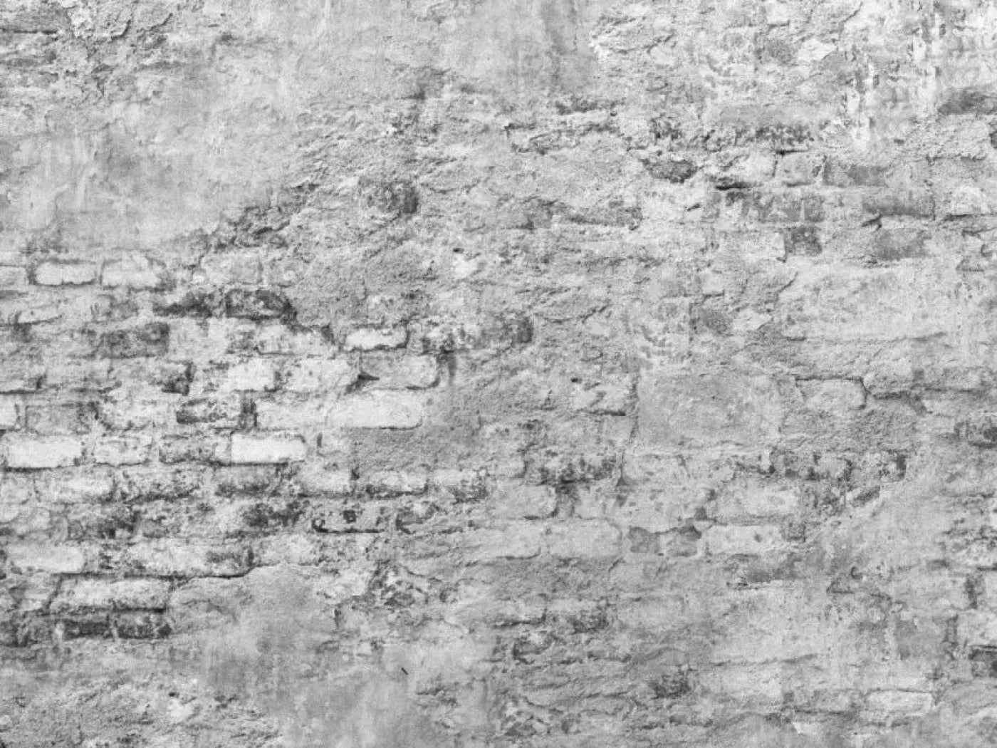 Old Brick Wall 10X8 Fleece ( 120 X 96 Inch ) Backdrop