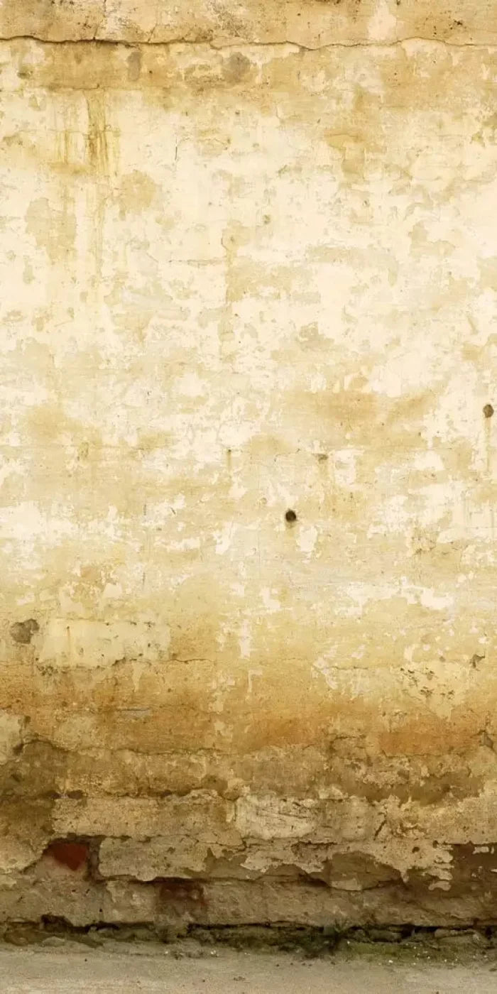 Old Stucco 10X20 Ultracloth ( 120 X 240 Inch ) Backdrop