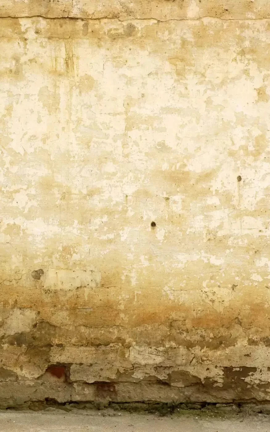 Old Stucco 9X14 Ultracloth ( 108 X 168 Inch ) Backdrop