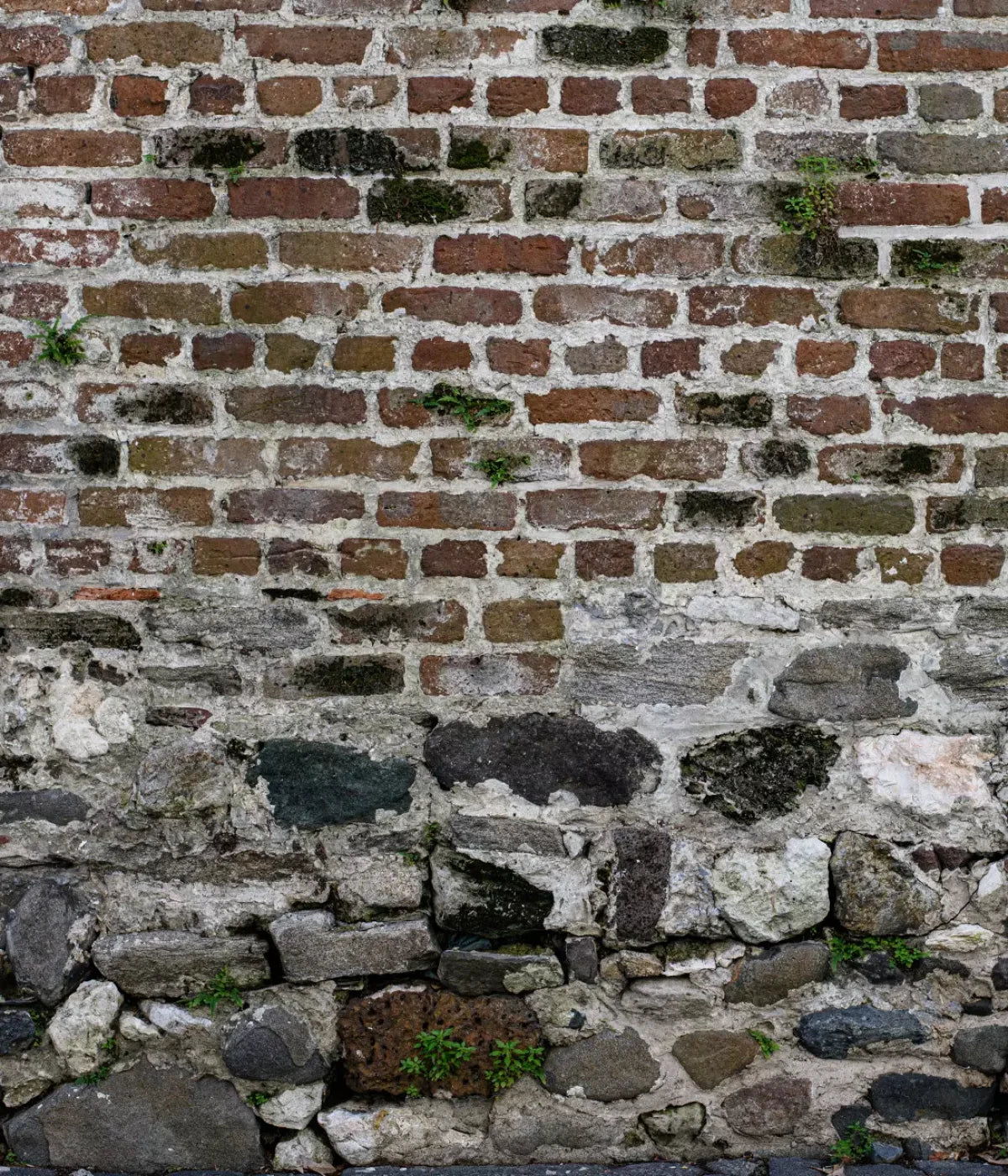 Old World Brickwork 10X12 Ultracloth ( 120 X 144 Inch ) Backdrop
