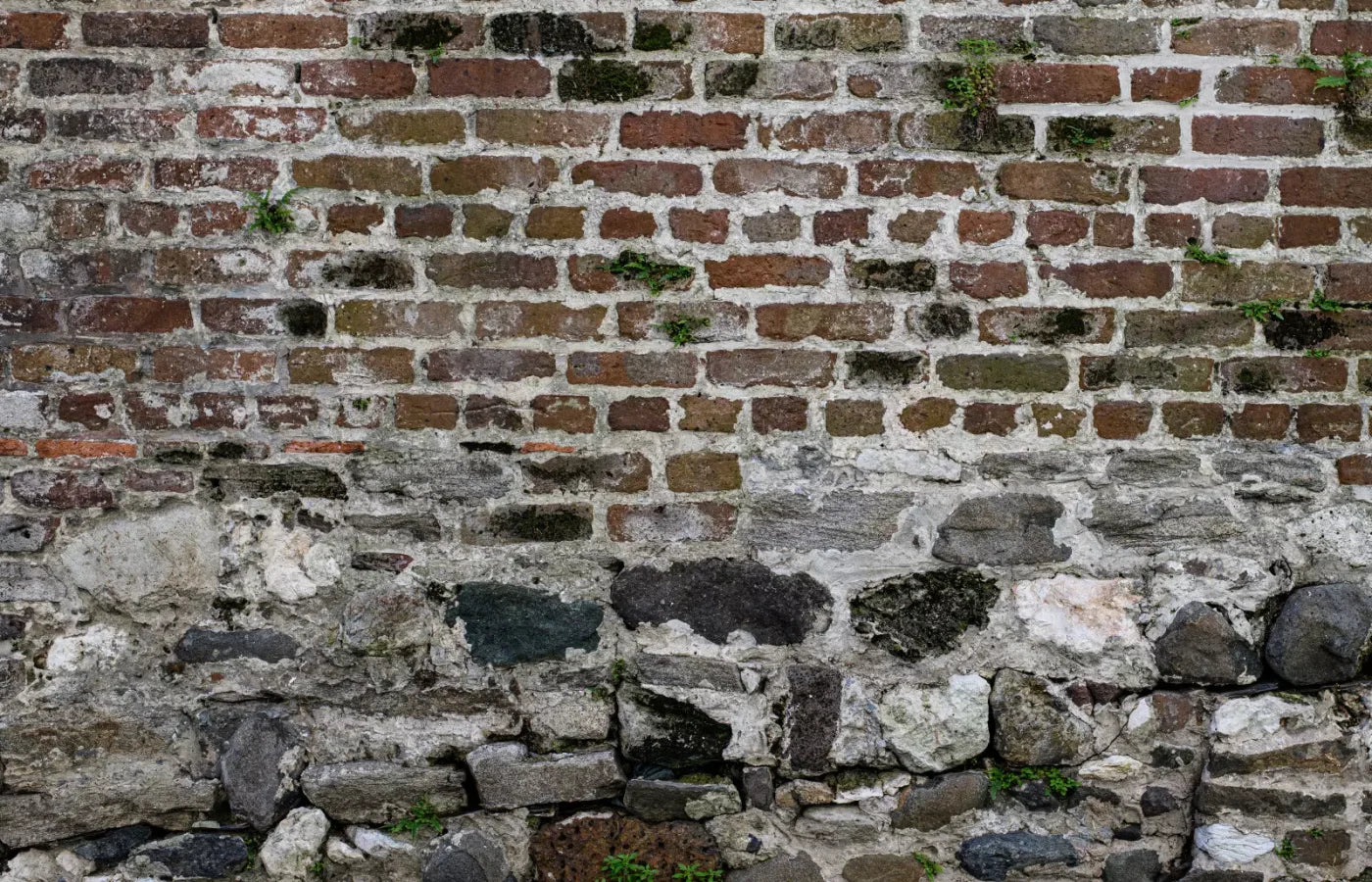Old World Brickwork 12X8 Ultracloth ( 144 X 96 Inch ) Backdrop