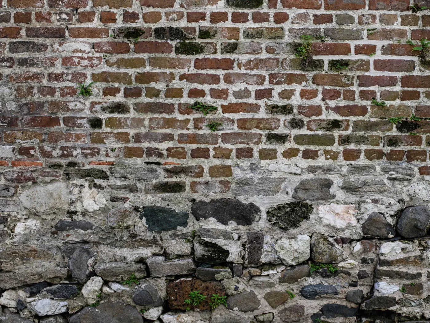 Old World Brickwork 68X5 Fleece ( 80 X 60 Inch ) Backdrop