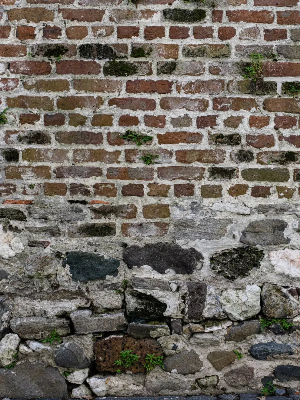 Old World Brickwork 8X10 Fleece ( 96 X 120 Inch ) Backdrop