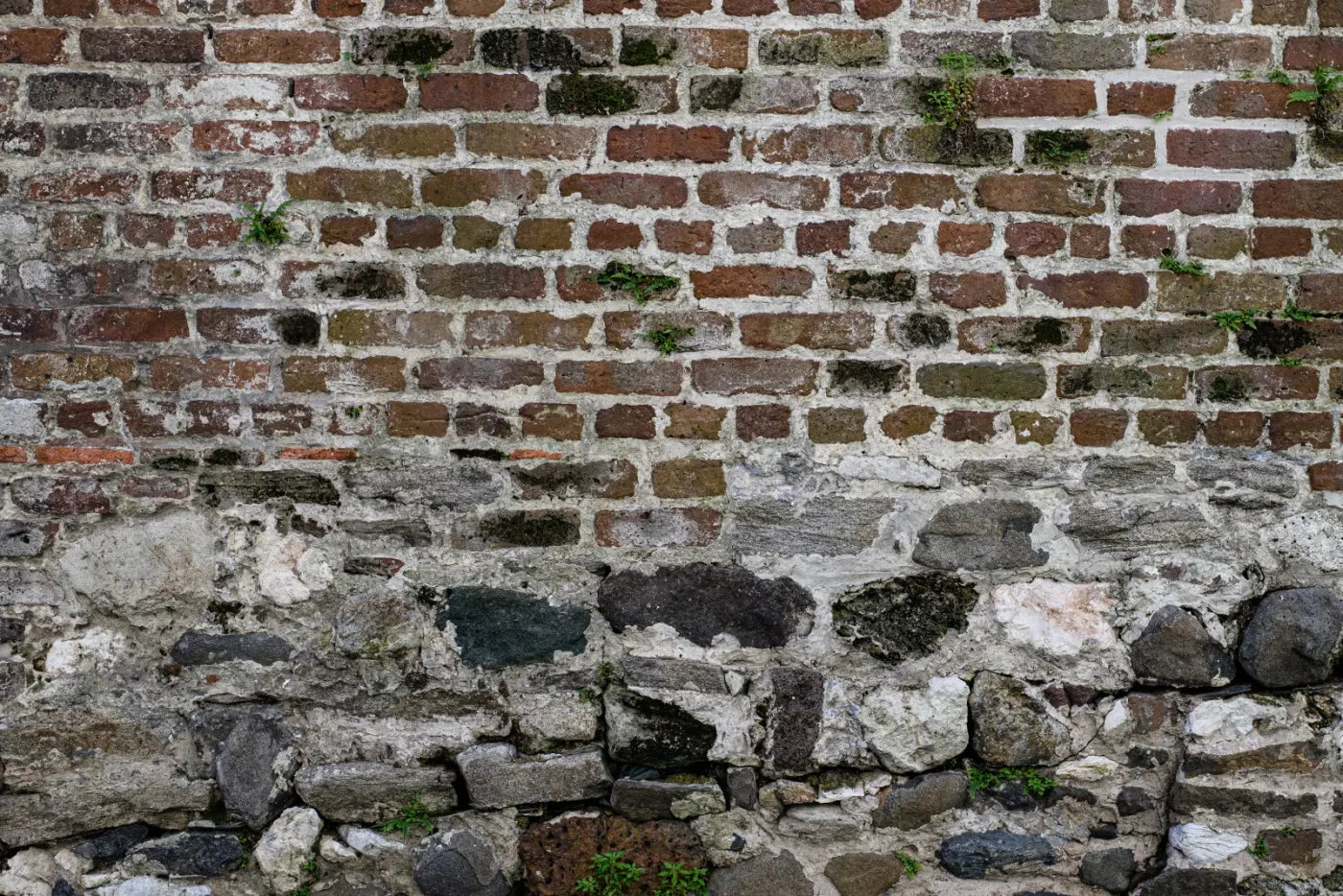Old World Brickwork 8X5 Ultracloth ( 96 X 60 Inch ) Backdrop