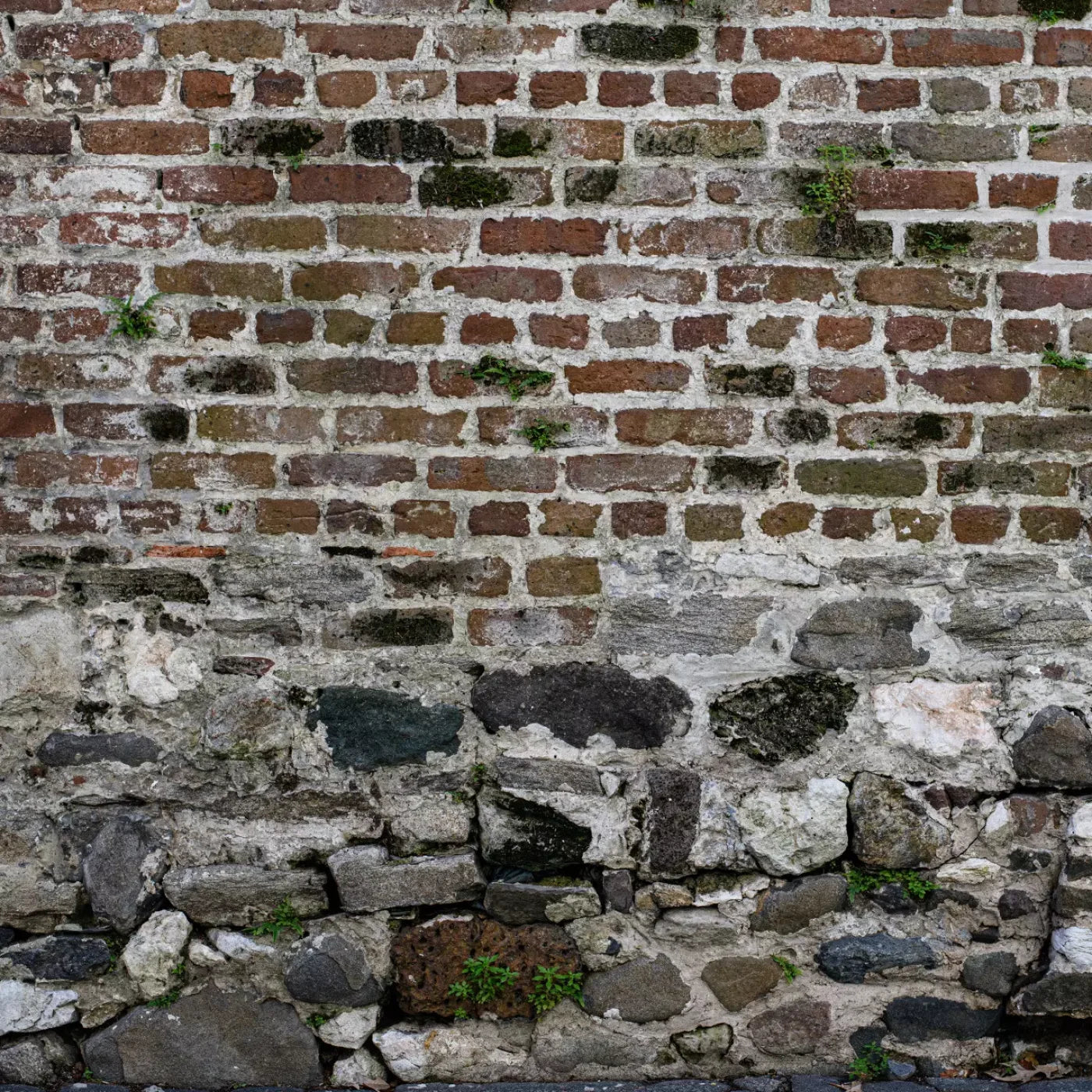 Old World Brickwork 8X8 Fleece ( 96 X Inch ) Backdrop