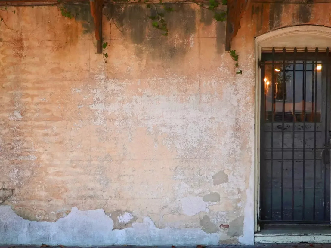 Old World Wall 68X5 Fleece ( 80 X 60 Inch ) Backdrop