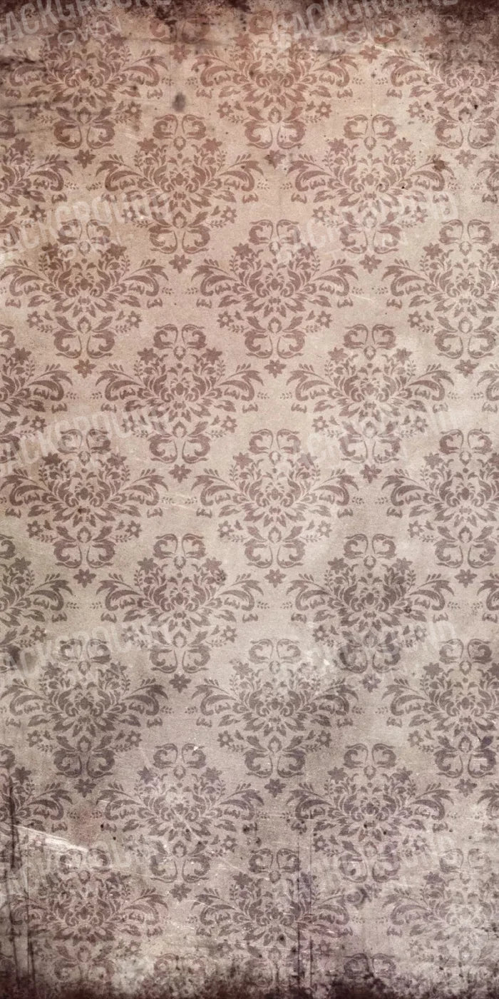 Oldie 10X20 Ultracloth ( 120 X 240 Inch ) Backdrop