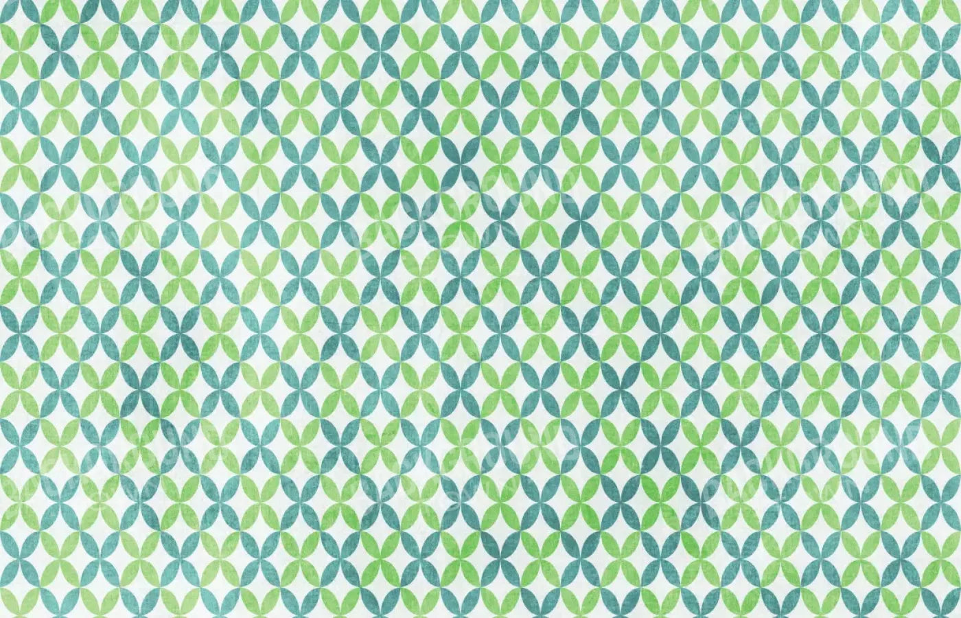 Ollie 12X8 Ultracloth ( 144 X 96 Inch ) Backdrop