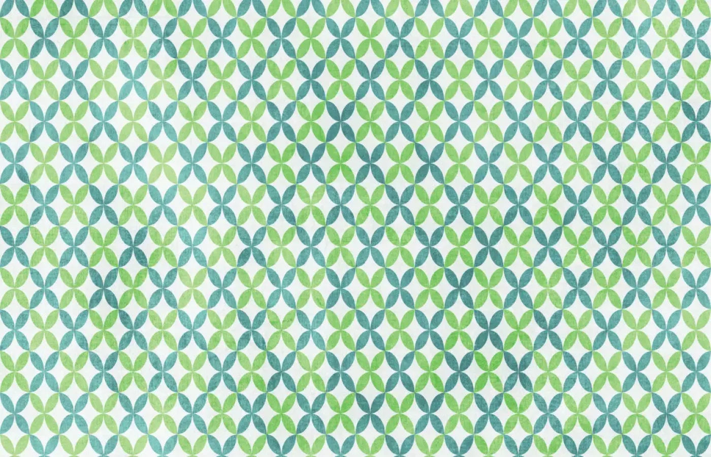 Ollie 12X8 Ultracloth ( 144 X 96 Inch ) Backdrop