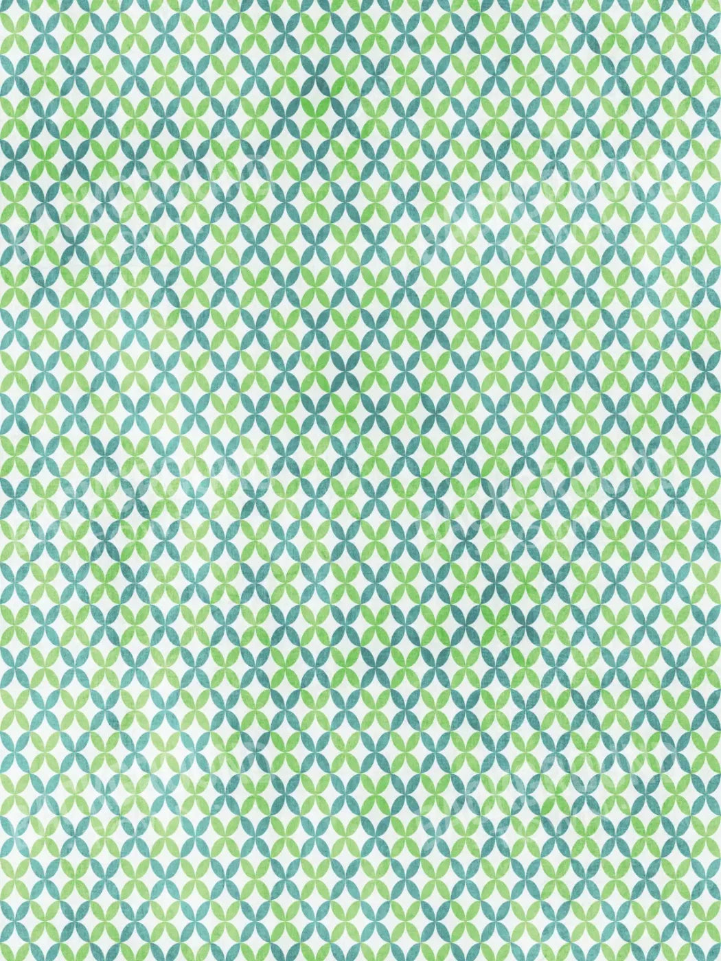 Ollie 5X68 Fleece ( 60 X 80 Inch ) Backdrop