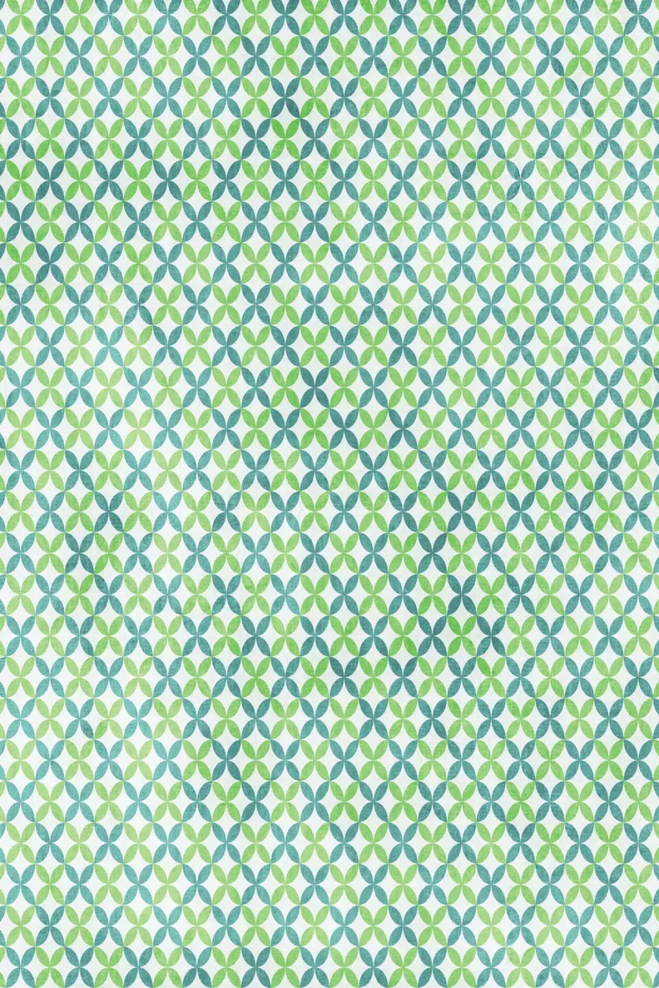 Ollie 5X8 Ultracloth ( 60 X 96 Inch ) Backdrop