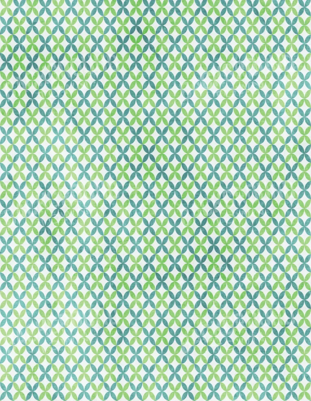 Ollie 6X8 Fleece ( 72 X 96 Inch ) Backdrop