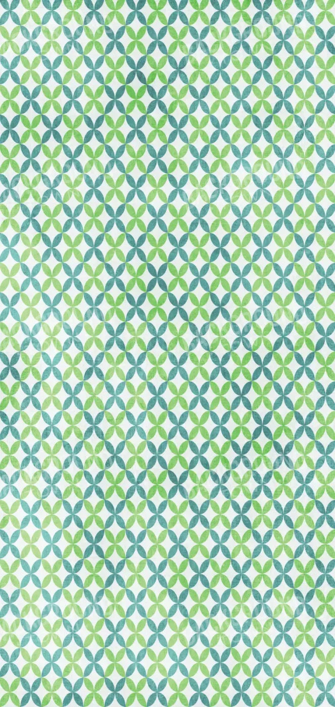 Ollie 8X16 Ultracloth ( 96 X 192 Inch ) Backdrop