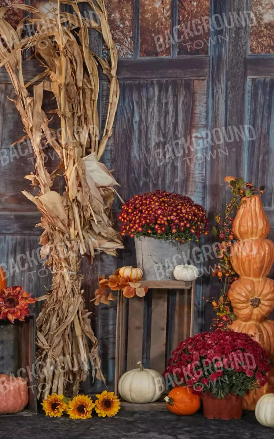 Pumpkin Patch 9X14 Ultracloth ( 108 X 168 Inch ) Backdrop