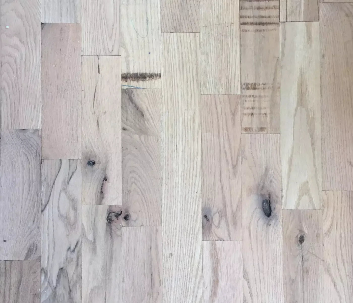 Oregon 12X10 Ultracloth ( 144 X 120 Inch ) Backdrop