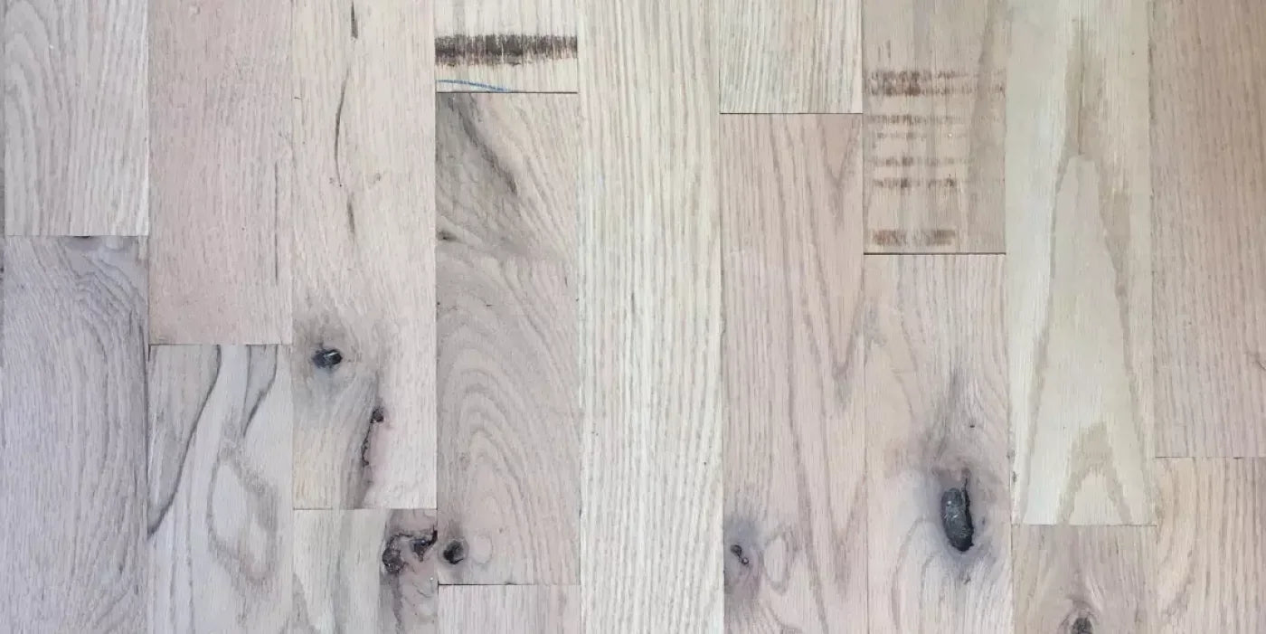 Oregon 20X10 Ultracloth ( 240 X 120 Inch ) Backdrop